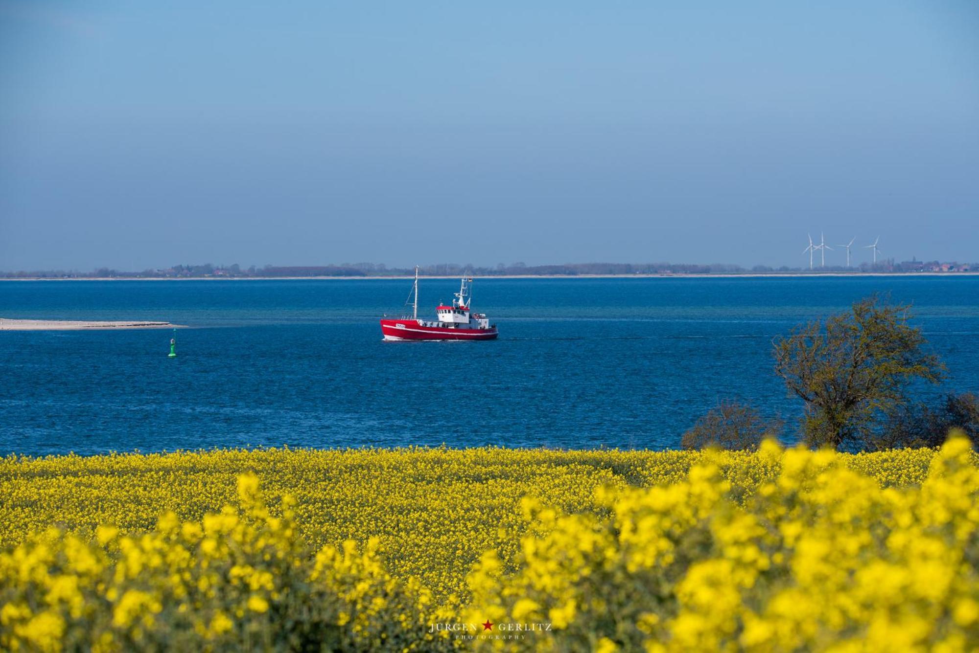 Ferienwohnung Brueckenblick Kappeln Exteriér fotografie